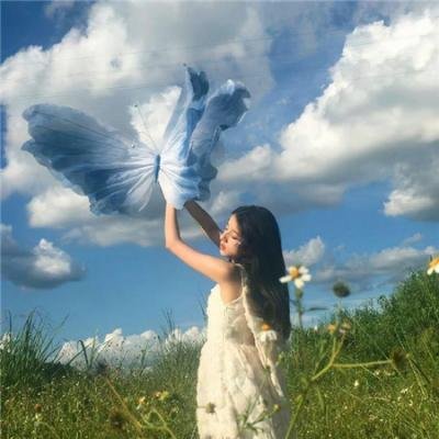 艳舞樱都 海报